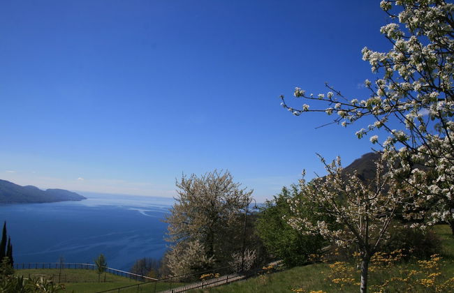 Appartamento Anna 701 - Foto 20