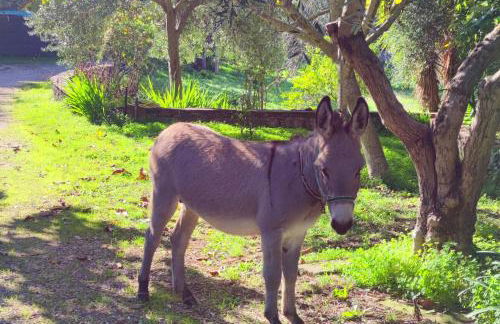 La Tinaia Country House - Foto 125