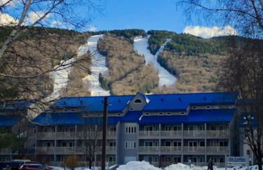 Studio Apt with stunning Mountain Views - Foto 19