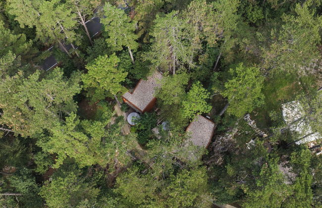 Theodosius forest village Vipava - Foto 35