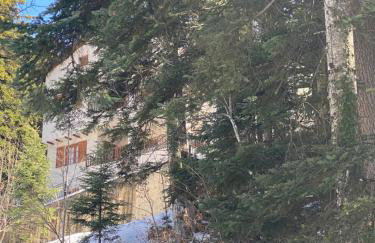 Evergreen Elati - Foto 68