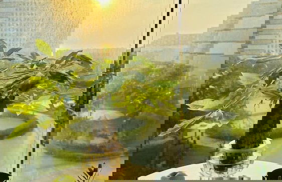 The Arena Sea view - SEAB0330 - Foto 6