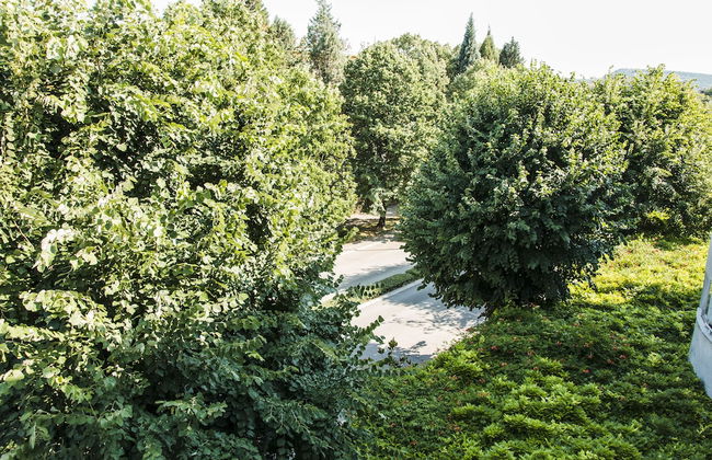 Apartment Ella - Photo 46