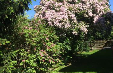 Appartement Am Goldbichl - Foto 24