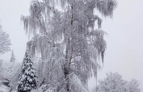 Quinta OUTONO DOURADO - Foto 30