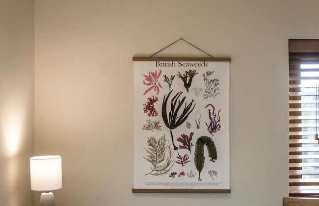 Lavender - Luxurious Barn Conversion - Foto 48