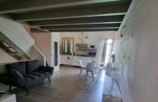 La coccinella - Foto 12