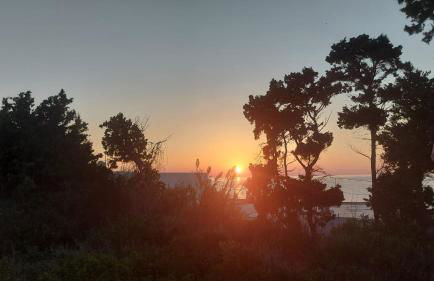 Afroditi Junior Suites - Foto 20