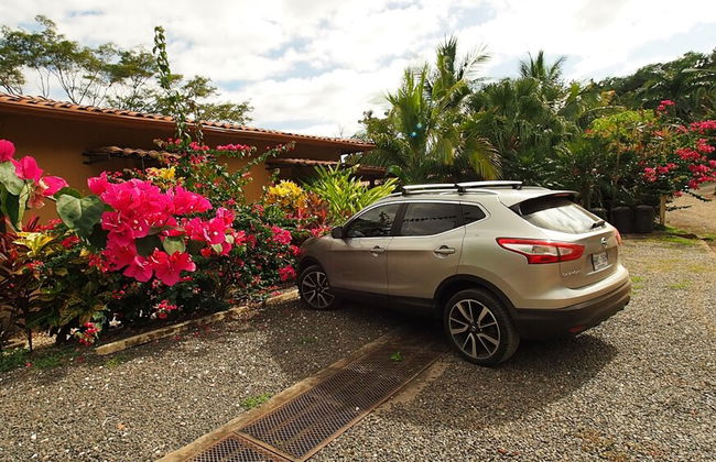 Opera Salvaje N.27 - Foto 19