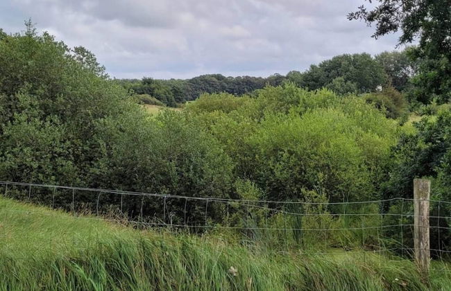 4 Person Holiday Home in Hovborg-by Traum - Foto 8