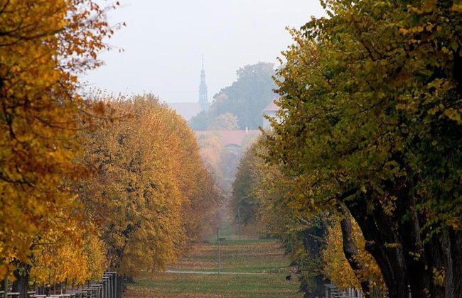 Peaceful Holiday Home in Holin With Garden - Photo 27