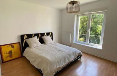 Grand appartement sur Schiltigheim à proximité du centre de Strasbourg - Foto 7