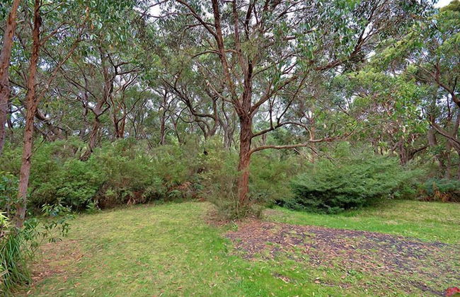 Cape Otway Cottages - Foto 27