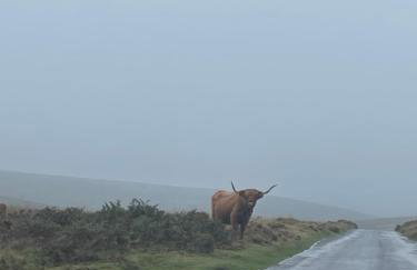 Jemima Barn - Foto 29