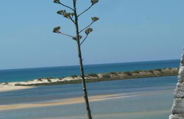 My Second House - Foto 77