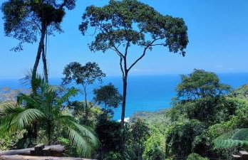 Chalé dos Altos de Laranjeiras - Foto 6