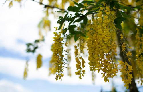 Tinyhaus 1 - Foto 18