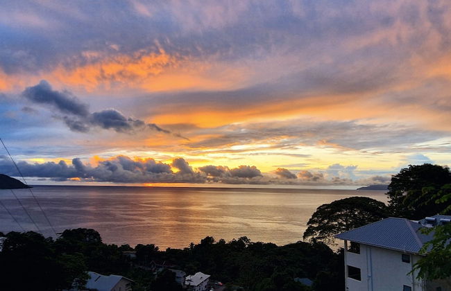 Tropical Secrets Holiday Apartments - Foto 24