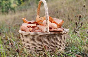 Apartamento vacacional - Foto 45