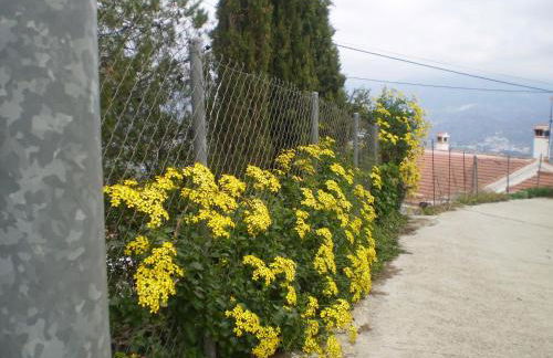 La Atalaya de Los Romanes - Foto 30