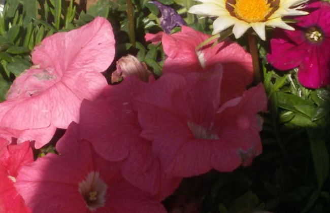 Flokkas Hotel Apartments - Foto 47