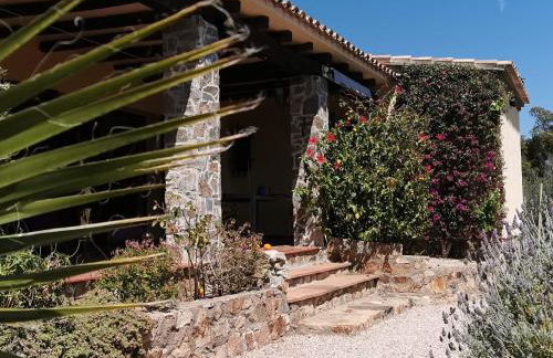 Gina's house in castell d'aro with sea views - Foto 38