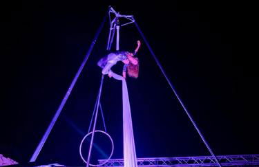 La Pavoncella - Foto 47