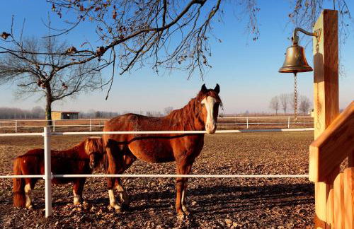 Agriturismo Relais Tenuta il Cigno - Foto 101