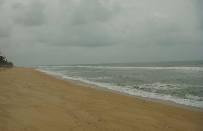 Bayu Beach Penarek - Foto 20