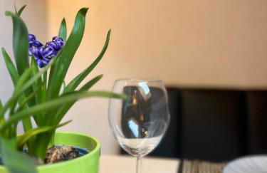 Beishan Appartements Nürnberg in Zentrum Dachgeschoss - Foto 1