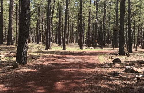 Grand Canyon Cottage at Historic Wrigley Ranch with Horseback Riding & Hiking - Foto 17