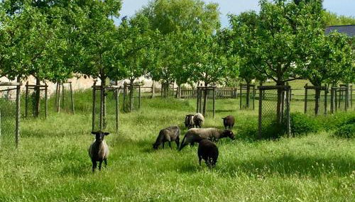 Apartments "Am Nationalpark" - Foto 3