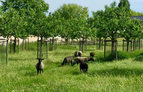 Apartments "Am Nationalpark" - Foto 3