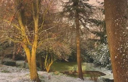 Hayes Suite - Foto 28