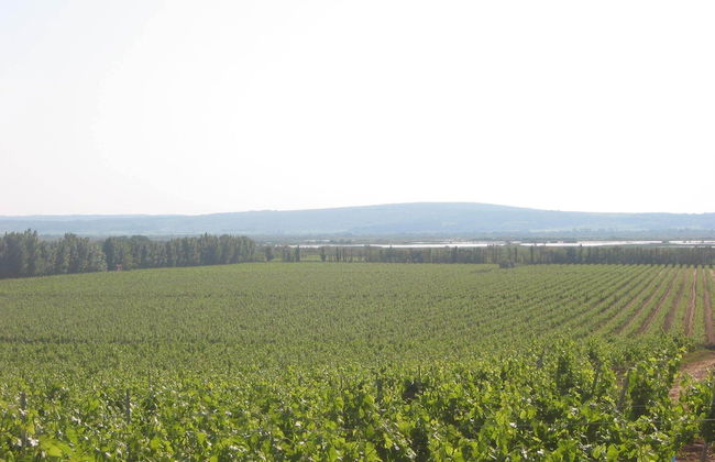 Domaine La Yole Wine Resort - Foto 42