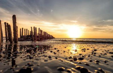 Arche Svea Kiebitz - Foto 13