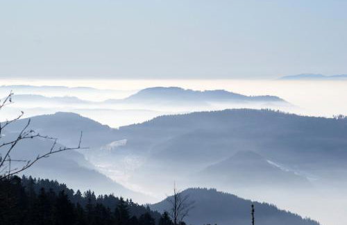 Schauenburgblick - Photo 17