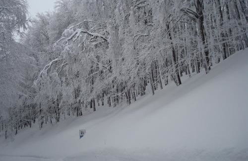 Appartamento Rialto Terminillo - Foto 6