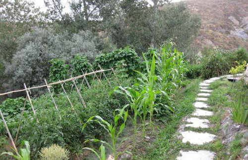 Bancal de Los Pérez - Foto 43