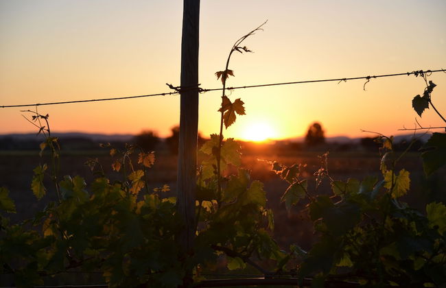 Cortona Resort - Le Terre Dei Cavalieri - Foto 78
