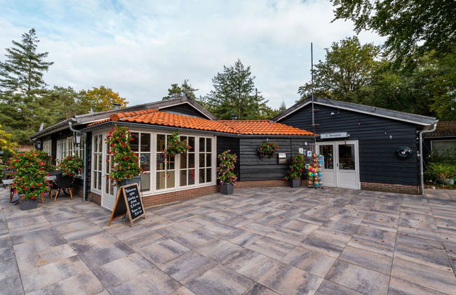 2 bedroom House in Dwingeloo with swimming pool and terrace - Photo 13