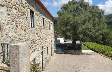 Quinta da Vinha Velha - Foto 28