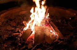 Reiterhof vom Litzlbach - Foto 26