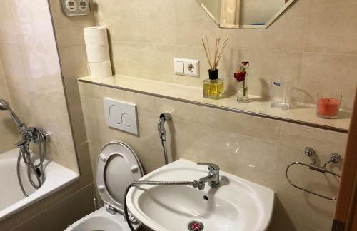 Sahara Falcon - Photo 148