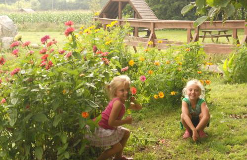 Agroturystyka Borówka - Foto 18