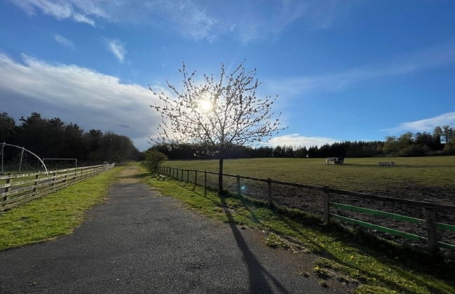 The Old Colliery Stables - Foto 13