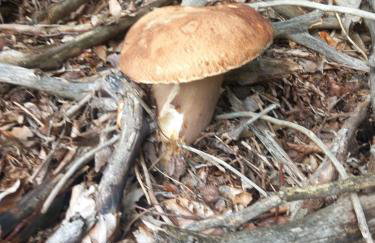 Domek na Uboczu - Foto 22