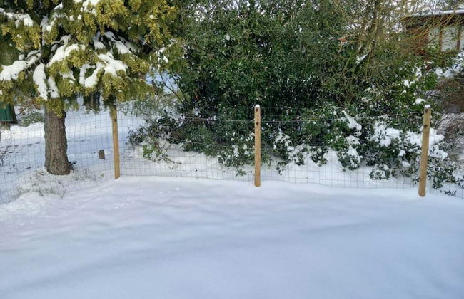 Chalet in Stegeren Near Hiking Trails - Photo 32