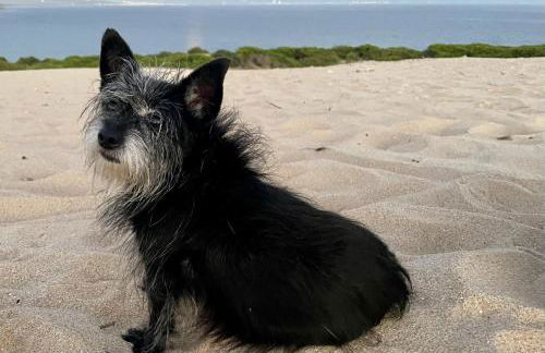 Beautiful Coastal Retreat in Punta Paloma, Tarifa - Foto 91