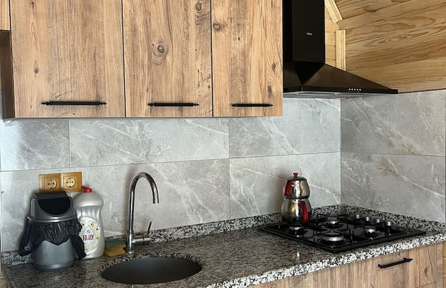 Adrasan Twin Aparts - Photo 5